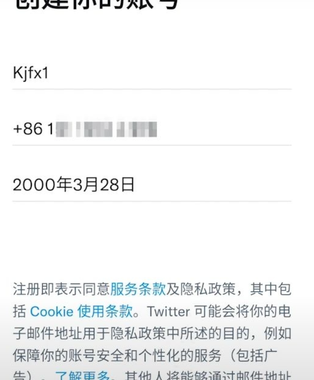 国内怎么上twitter?(国内上推特的详细教程)